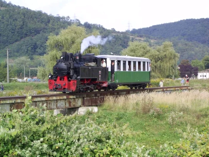 Mocănița Brad - Criscior PHOTO Western Mocănița