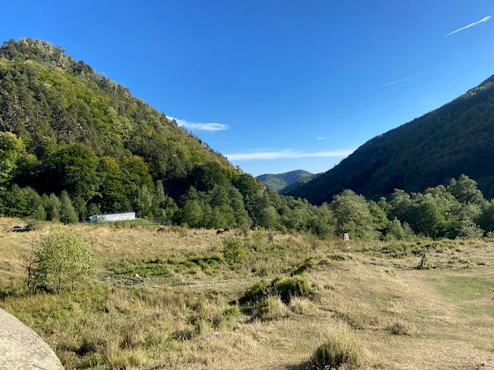 Tara Luanei photo source Antonia Ispas