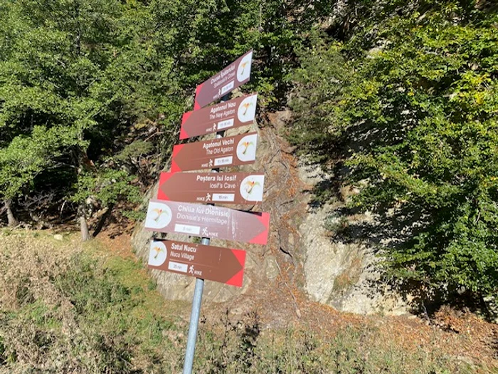 Tara Luanei photo source Antonia Ispas