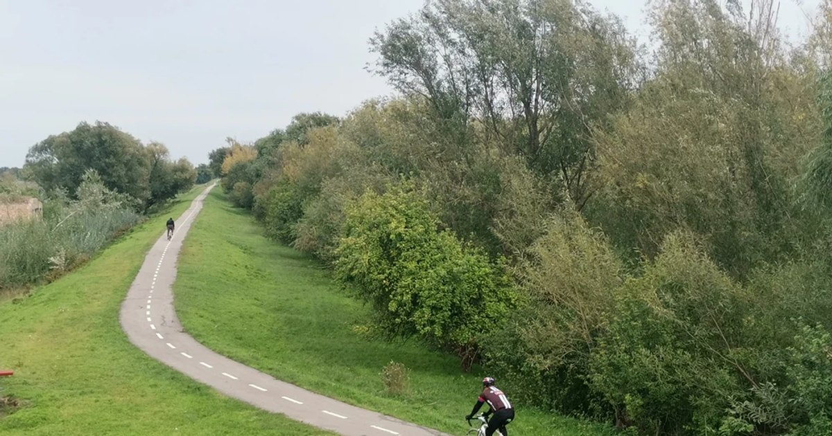 Border point for the longest bicycle path: it is 70 kilometers long and starts from Timișoara VIDEO