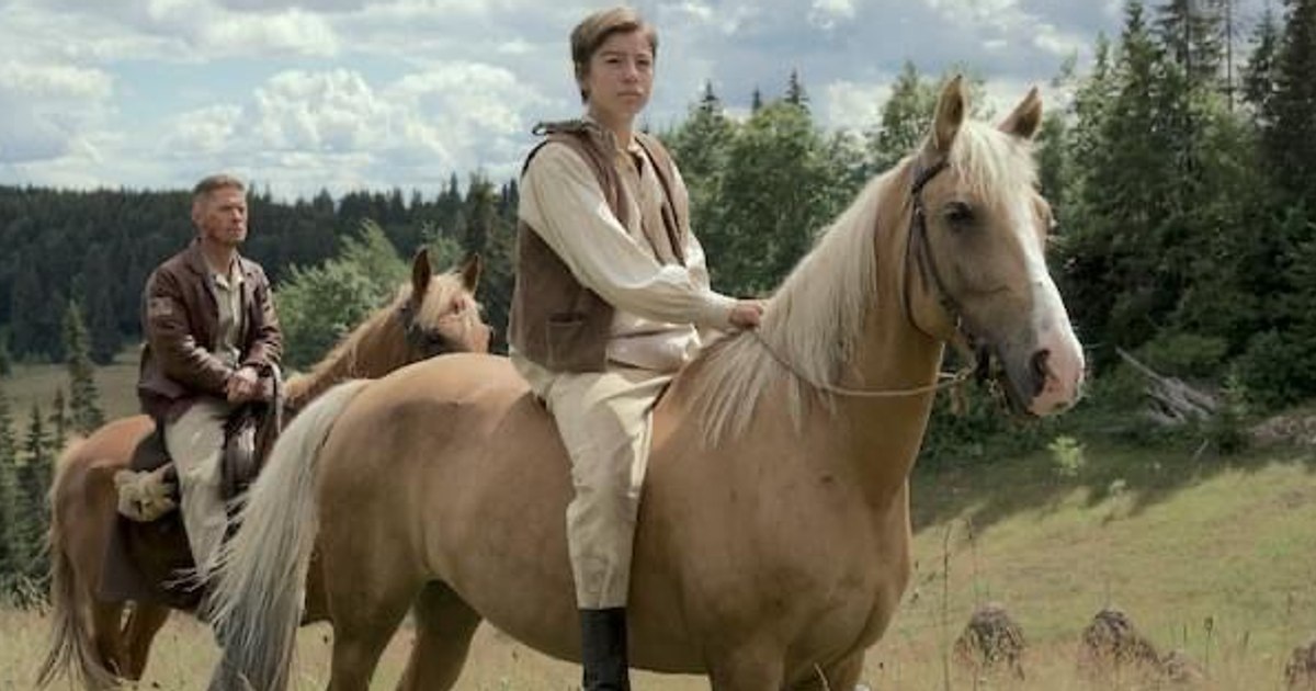 Boy passionate about horse riding, became an actor after a post on social networks.  He now has a shot at the Gopo Awards |  Photo