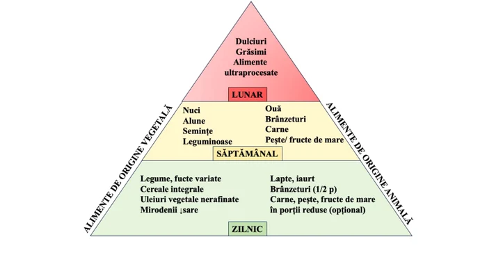 Carpatho-Danubian food pyramid.  PHOTO: CARPO project