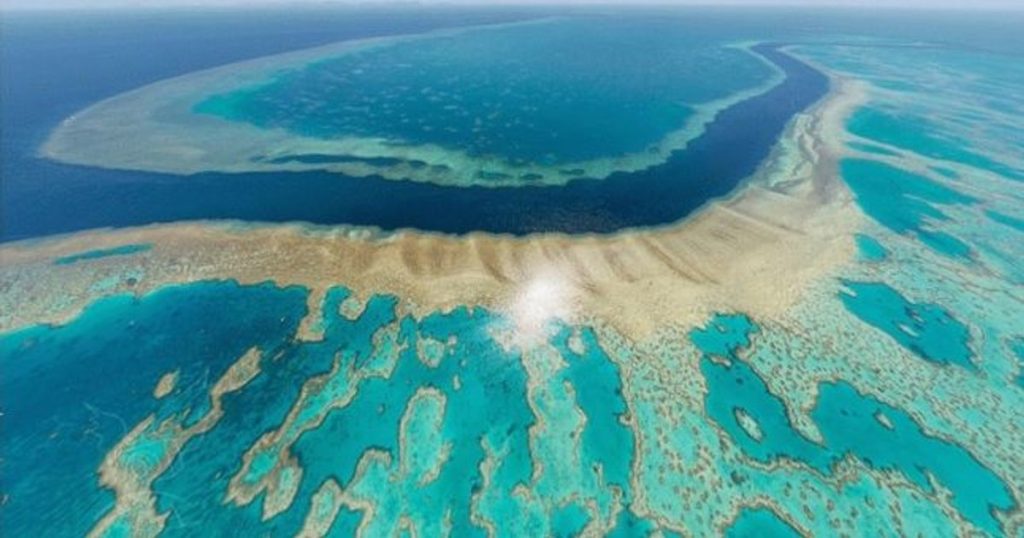 Great Barrier Reef hit by new 'mass bleaching' episode