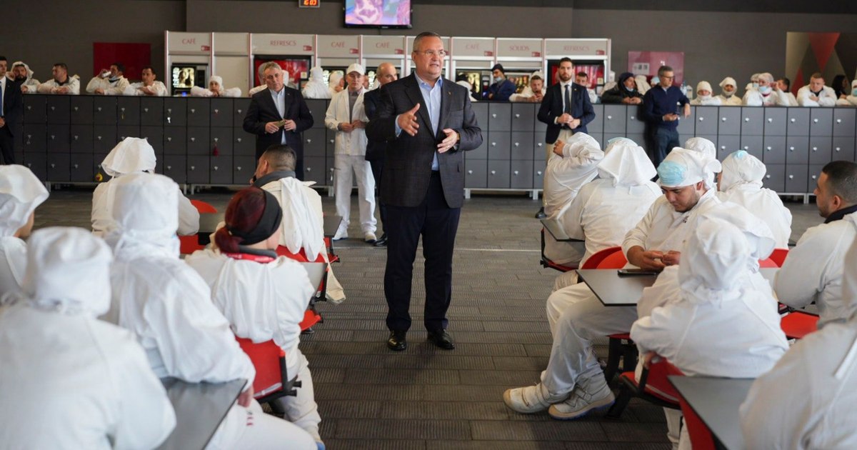 Nicolae Ciucă, visit to a slaughterhouse in Catalonia with most Romanian employees: "They are proud of the quality of their work"