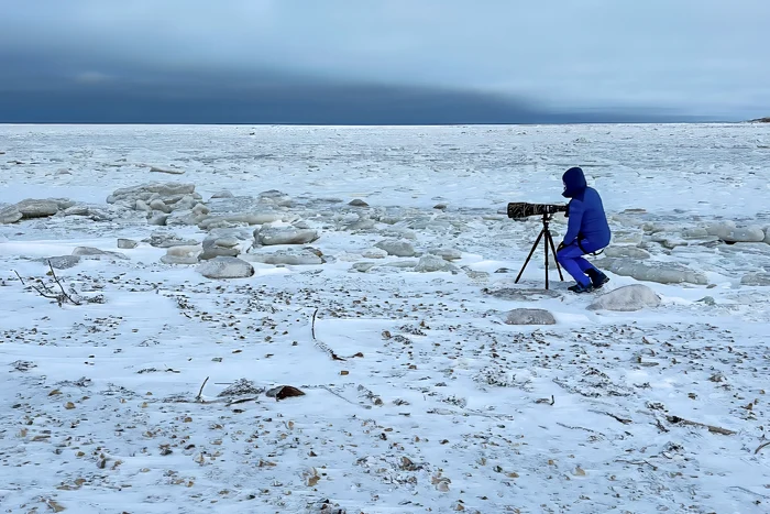 Rareș Beșliu, photographer on duty
