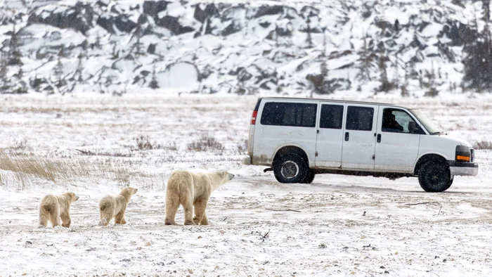 Friendly family, out for a walk.  PHOTO: Rareș Beșliu