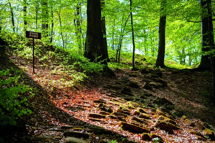 Dacian fortress Piatra Roșie.  Photo: Discover Hunedoara. 