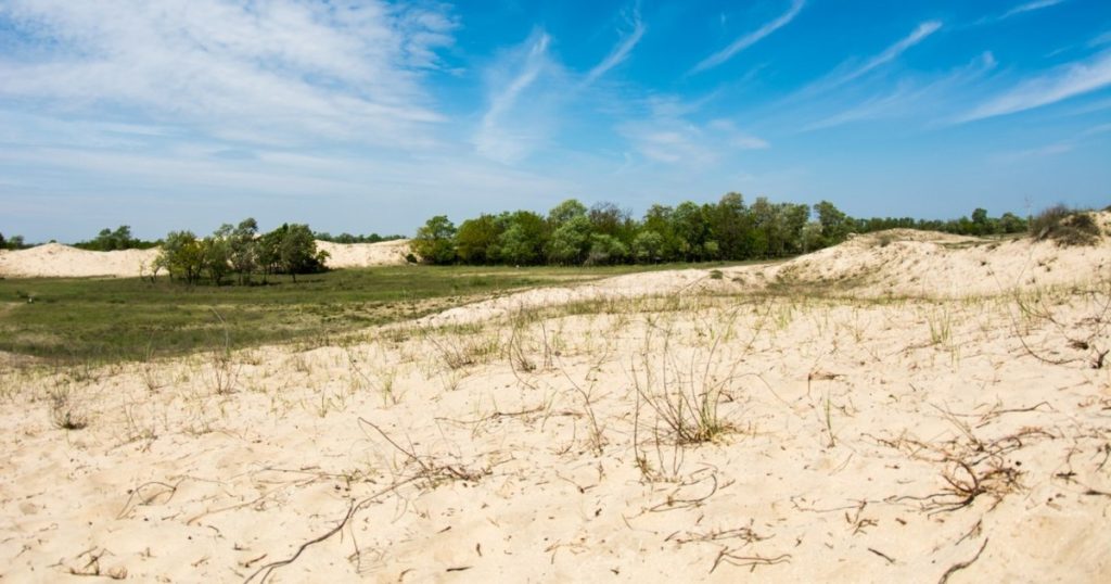 Desertification threatens the future of agriculture in Romania.  Mircea Fechet: "We will have a climate very similar to that of Greece"
