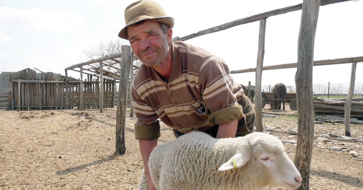 Easter shopping by the gram: "Easter holidays will be the saddest financially in recent years"