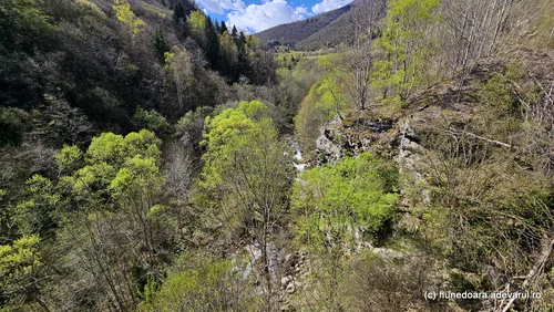 Nucșoara stream valley, Pietrele din Retezat Photo Daniel Guță THE TRUTH (31) jpg