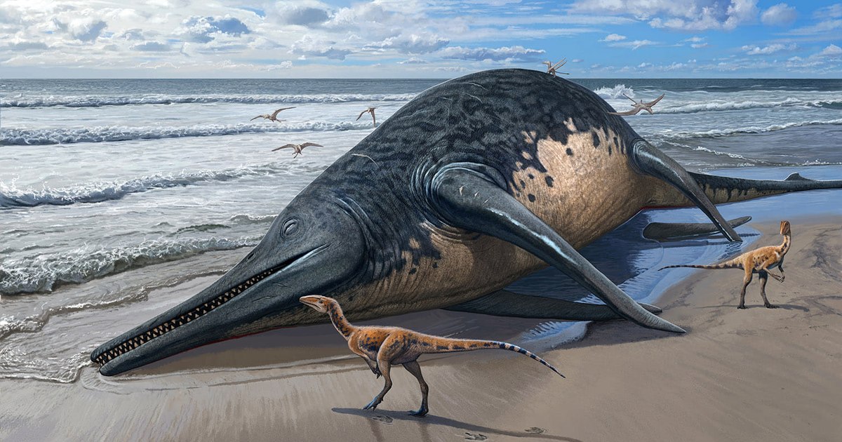 Fossils of a giant marine reptile, discovered by an 11-year-old girl and her father in Great Britain VIDEO