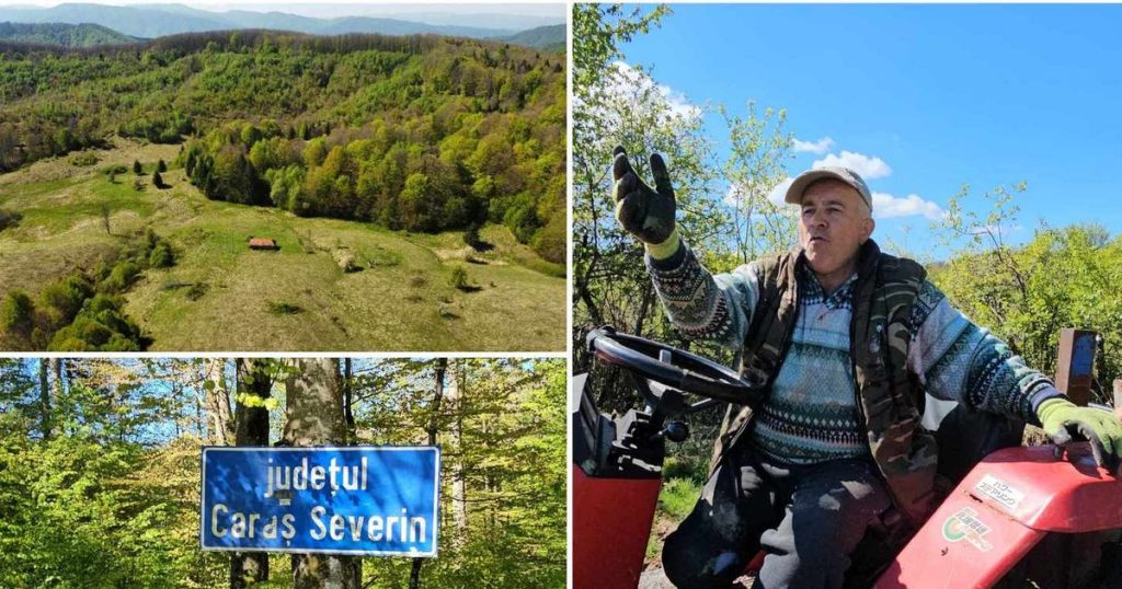 Life in the forgotten hamlets on the Marble Road, in the Poiana Ruscă Mountains.  "I feel like crying" VIDEO