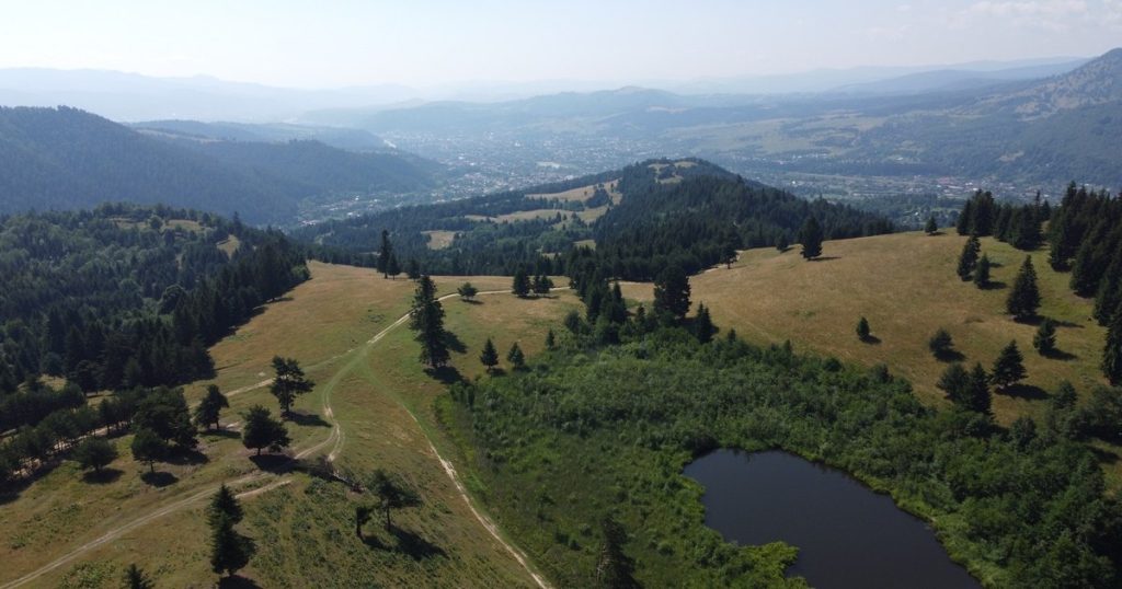 Mountain trails to walk in Bacău county.  Where are the virgin forests PHOTO