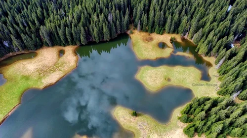 Poiana Glade Photo Cristian Resiga (9) jpg