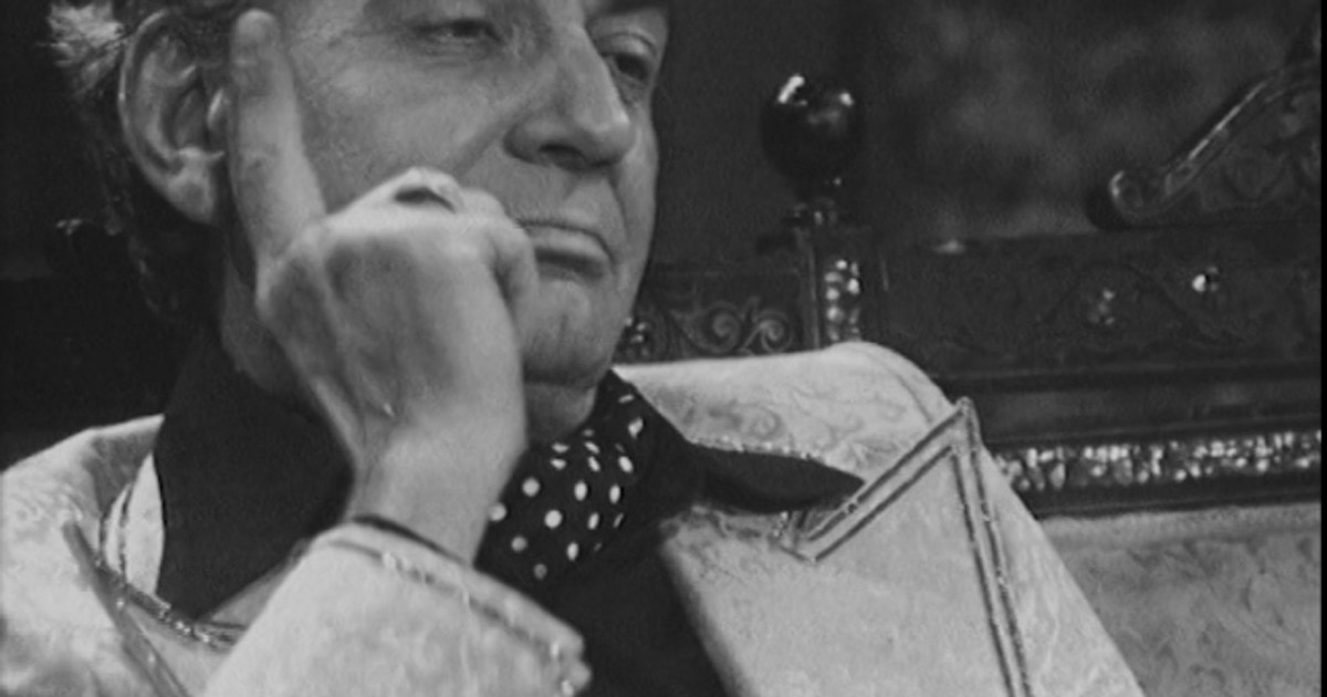 Ștefan Tapalăgă, the genius artist who before going on stage was the national fencing champion VIDEO