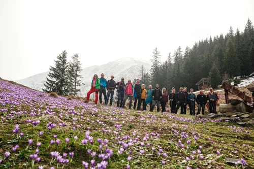 Guided tour to admire the brândus through the Anii Drumeții program from Sibiu Photo Anii Drumeții