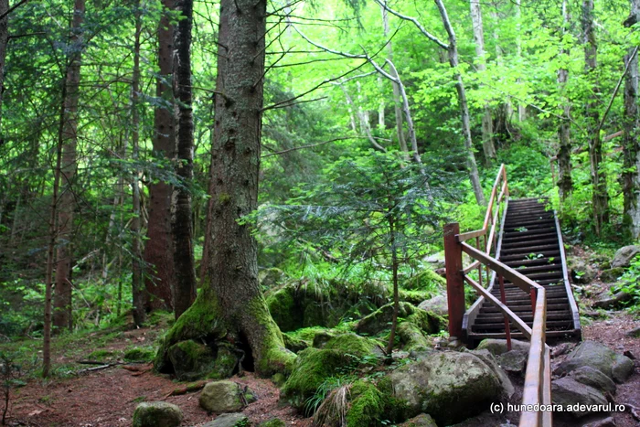 The descent to the waterfall.  Photo: Daniel Guță.  TRUTH