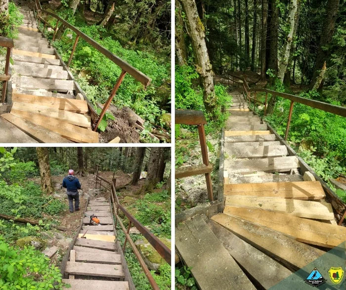 The stairs at the Lolaia waterfall have been redone.  Photo: Retezat National Park. 