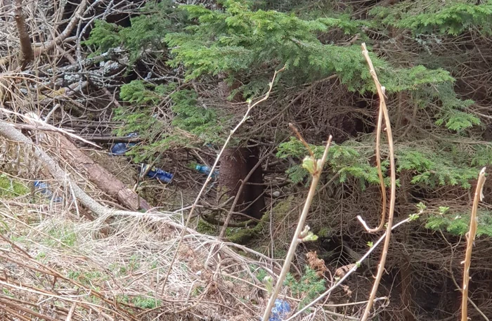 Petts thrown next to paths by irresponsible tourists PHOTO Facebook Ceahlău Park