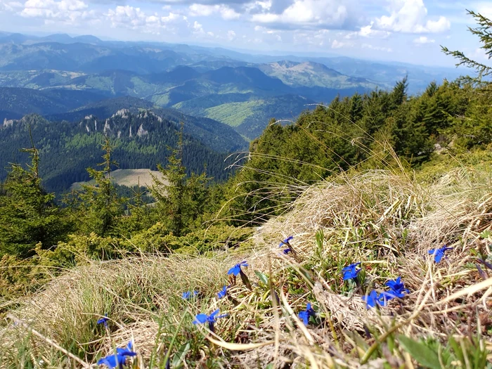 The beauty of the mountain PHOTO Facebook Ceahlău Park