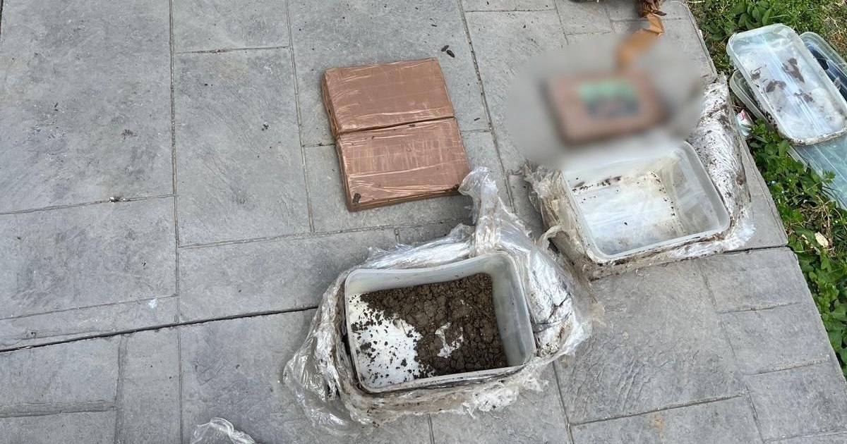 Cocaine worth one million euros, found buried in the yard of a house in Giurgiu County