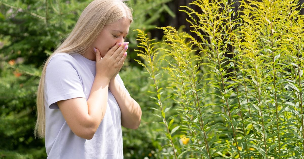 Five things about seasonal allergies that might surprise you: Stress, chlorine, and certain fruits can be a sign!