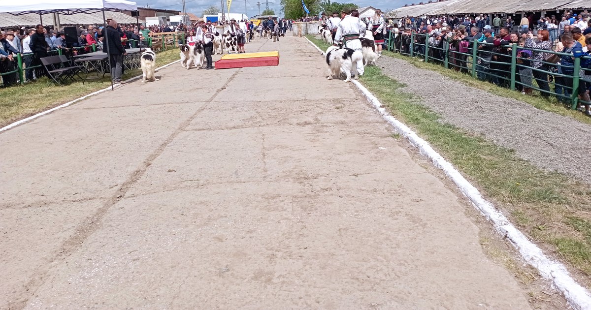 Hundreds of producers and farmers at a famous Moldovan fair.  "Your heart swells like a cake when you see the fruits of labor"