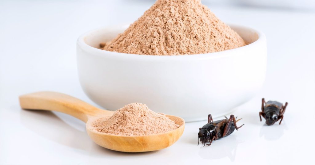 Insect flour, an ally against obesity: "It has a lower fat content".  How the "disgust factor" could be removed STUDY