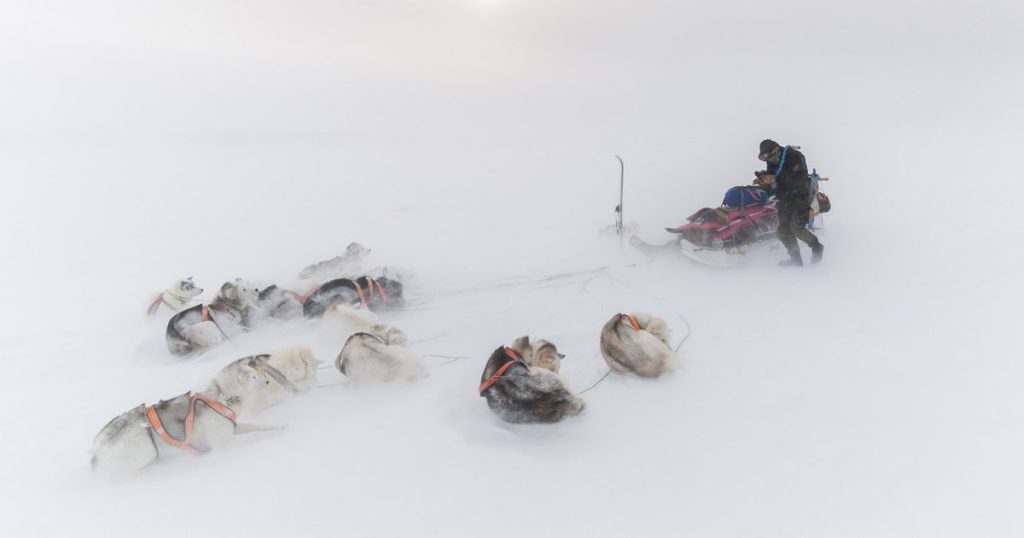 Morten Hilmer, one of the well-known European photographers, is the special guest of LYNX Festival 2024