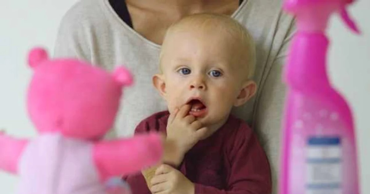 Nannies, housekeepers or gardeners refuse to work with a work permit