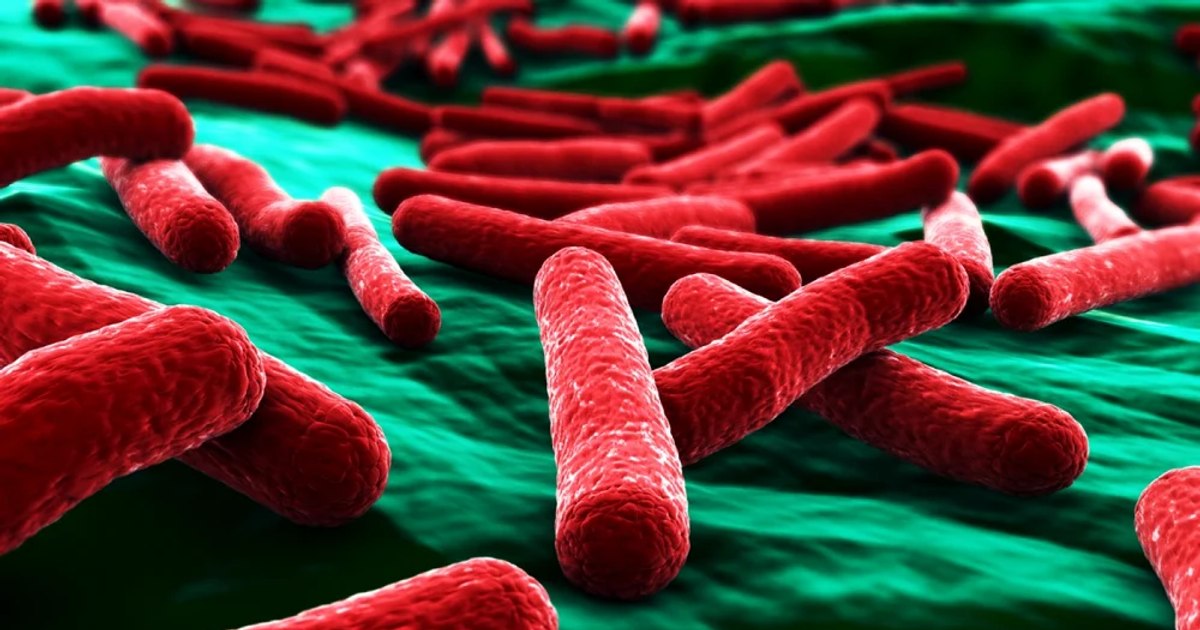 The COVID-19 pandemic will pale in comparison to drug-resistant superbugs