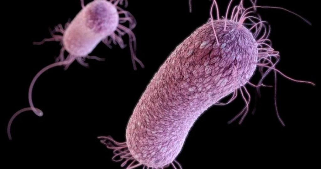 The COVID pandemic will pale in comparison to the danger posed by drug-resistant superbugs, experts warn