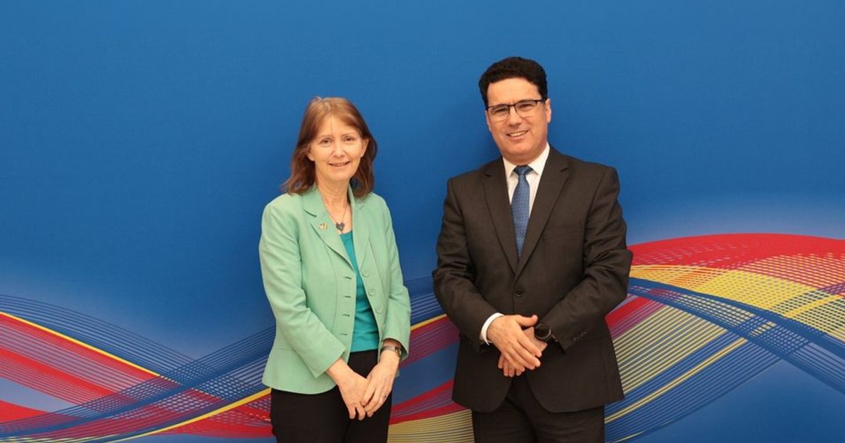 The rector of SNSPA, discussion with the US ambassador in Romania on the topic of education