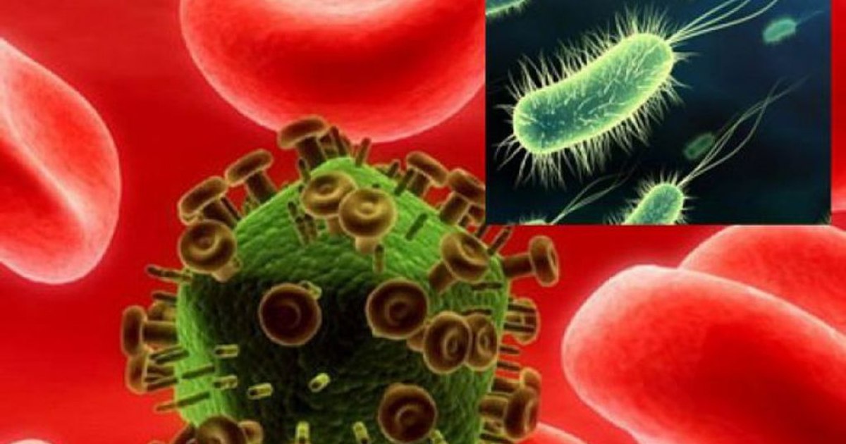 The superbugs that checkmate the medical system.  Humanity is increasingly vulnerable to microorganisms