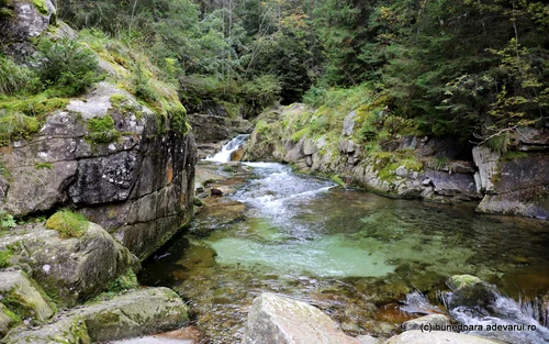 Lolaia Waterfall and Nucsoarei Valley Stones from Retezat Photo Daniel Guță THE TRUTH (60) JPG