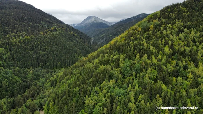 Valea Pietrele from Retezat.  Photo: Daniel Guță.  TRUTH