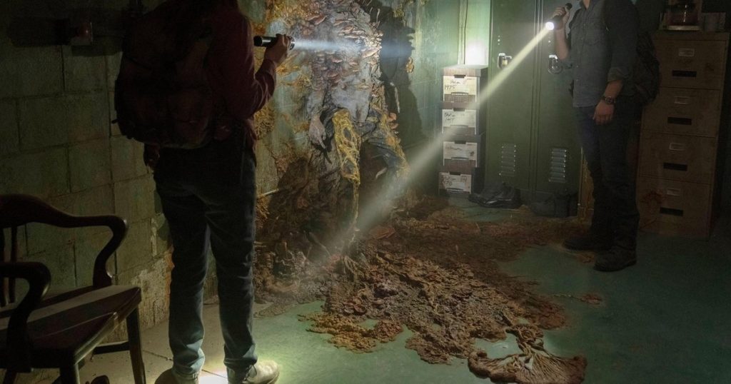 A fungal pandemic is possible, just like in the movie Last of Us.  Professor of molecular microbiology: 'we will see new dangerous fungal pathogens'