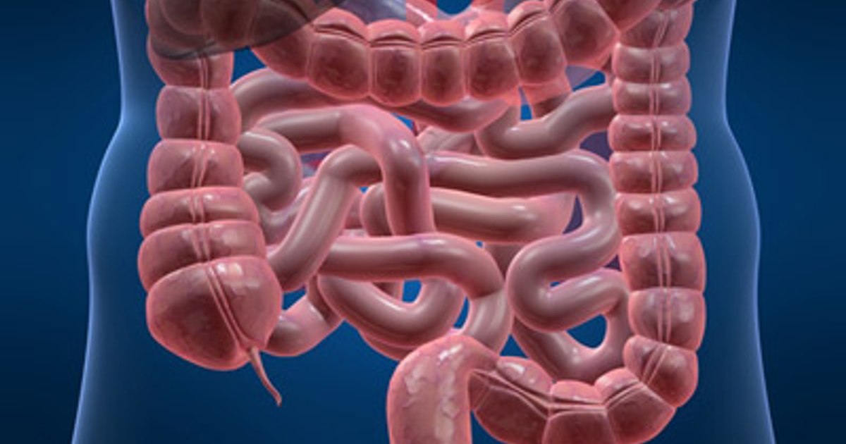 A type of rectal cancer, 100% cured with an innovative drug |  STUDY