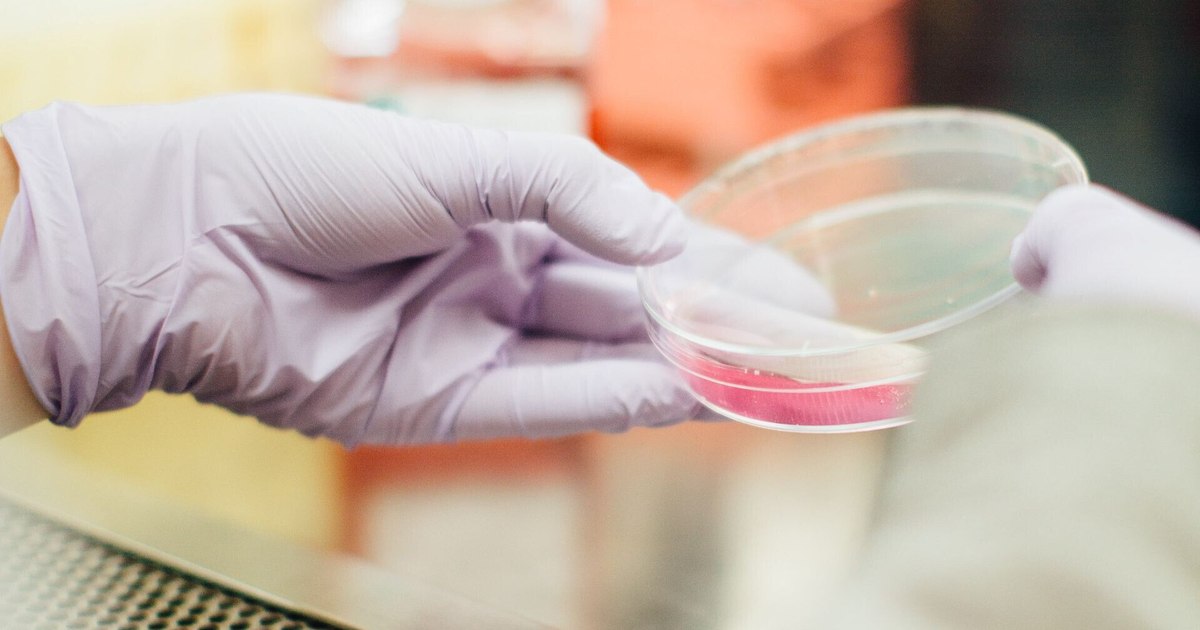 A virus, with a mortality rate 40 times higher than COVID-19, could devastate humanity.  What we need to pay attention to