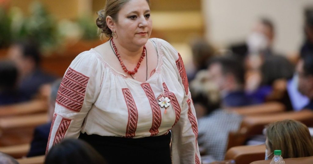 Diana Șoșoacă, invited by Ciolacu to consultations on the date of the presidential elections