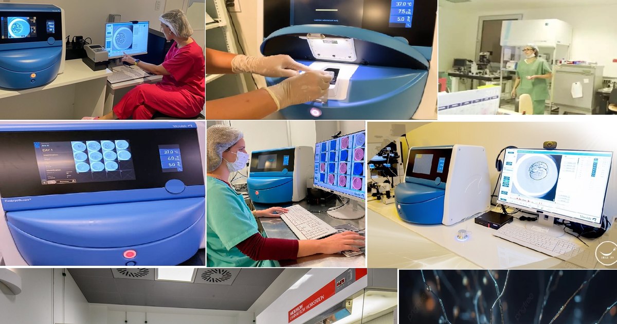 How artificial intelligence can increase the success rate of IVF