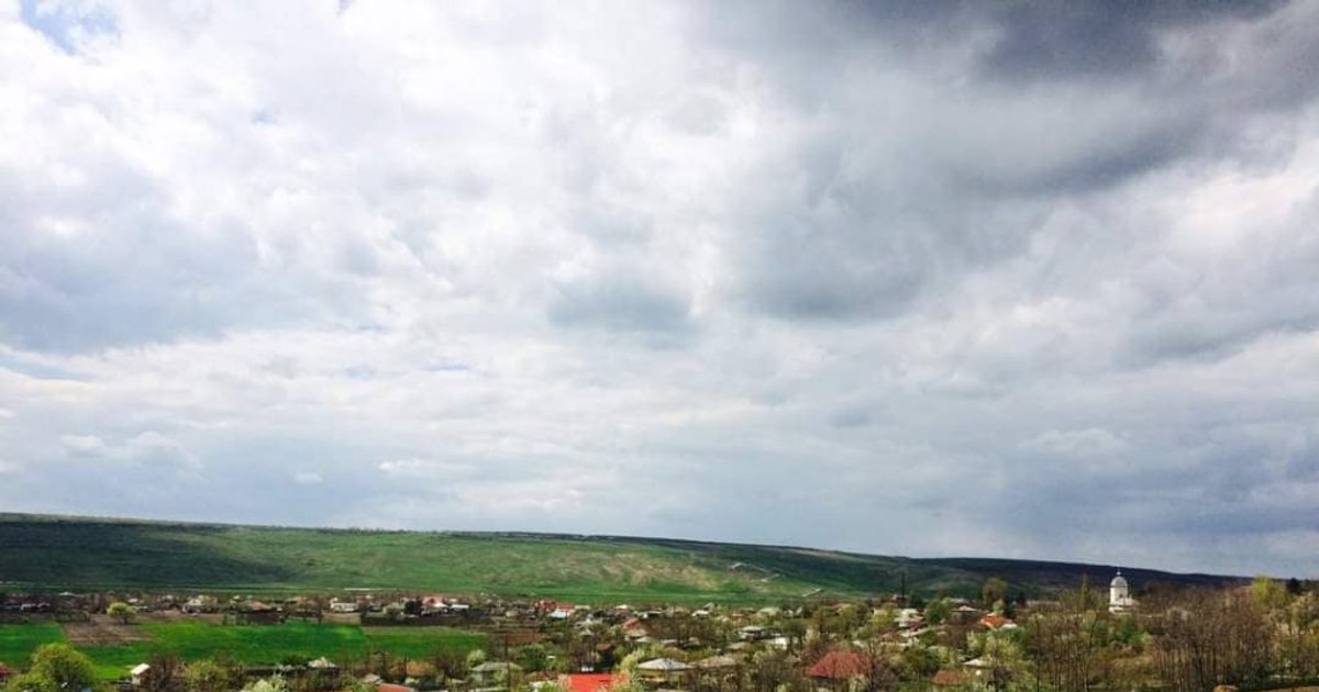 Local election results 2024. Members of a polling station self-reported that they messed up the election results.  "I was wrong"