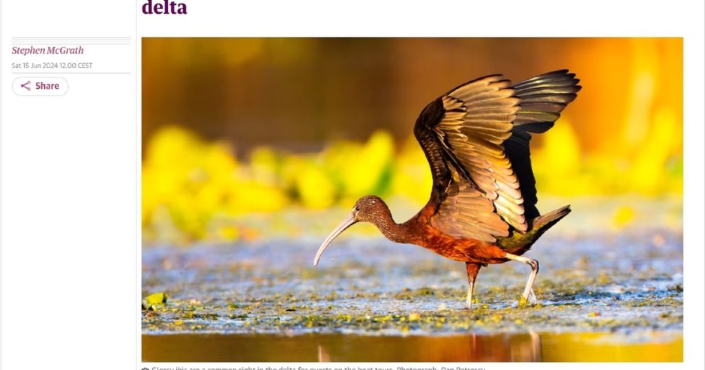 The "Amazon of Europe" - a wonderful place in Romania, again in the international press