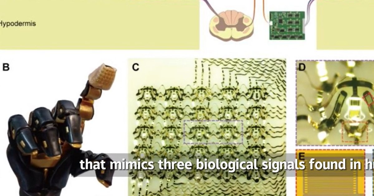 The Chinese invented the world's first electronic skin.  What can VIDEO be used for?