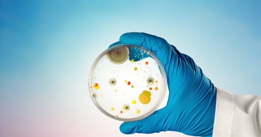 The "flesh-eating" bacterium also appeared in Romania.  How we recognize the disease and who is at risk