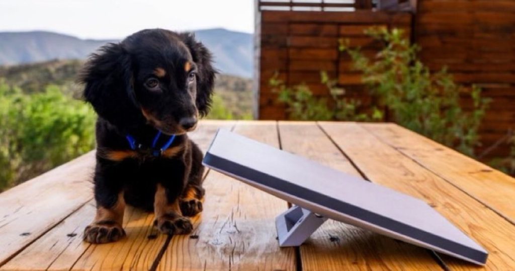 The new device from Starlink promises internet anywhere on the globe.  How much does the gadget that keeps you online even in the middle of the ocean cost
