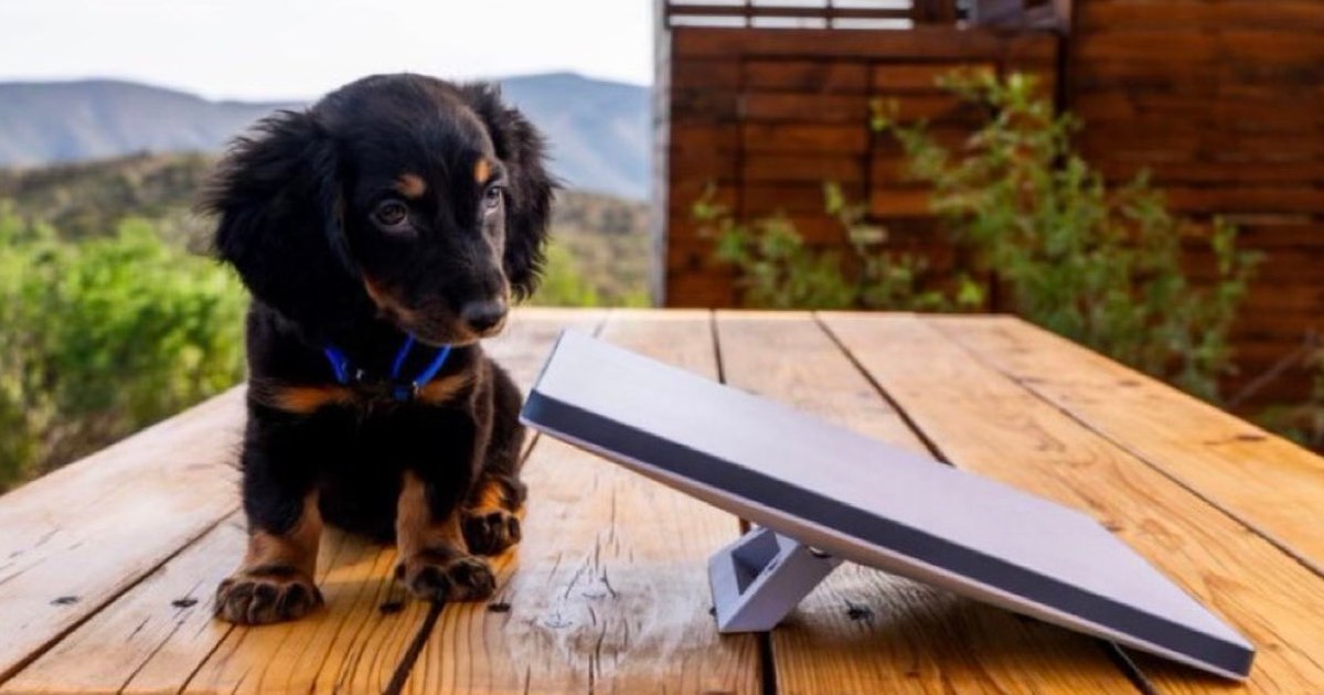 The new device from Starlink promises internet anywhere on the globe.  How much does the gadget that keeps you online even in the middle of the ocean cost