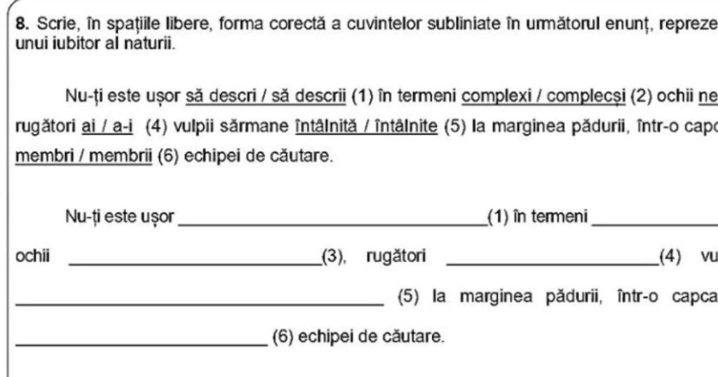 The signal of a Romanian language teacher, after correcting the papers from the National Assessment: "They have a very serious problem"