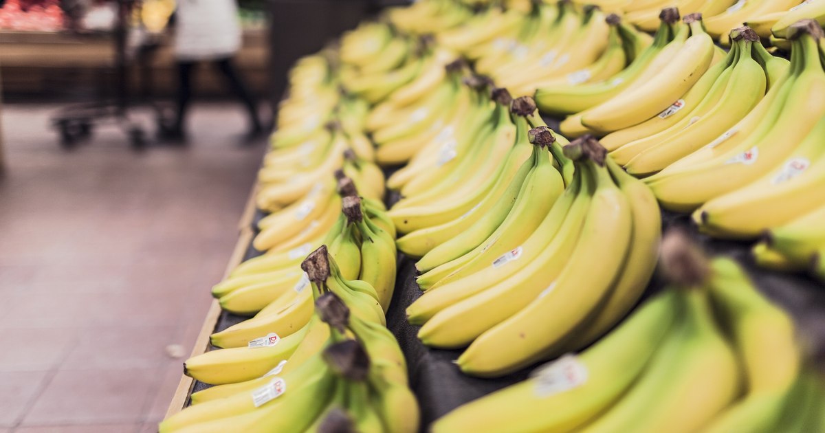 The spider in the banana crates whose sting can cause an erection lasting several hours.  Dr. Mihail: "There's nothing funny about it"