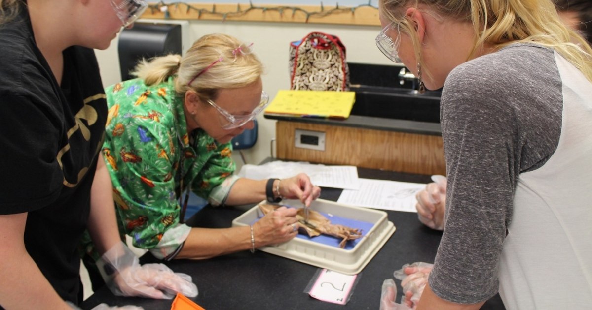 Young Romanians don't like school because school doesn't like them either.  What students want and what they actually get